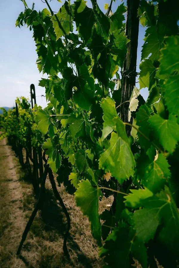 Fattoria Degli Usignoli Guest House San Donato in Fronzano Country house